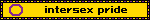 intersex pride 2